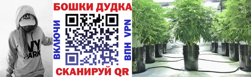 Купить наркотики сайты Советская Гавань ГАШИШ  Альфа ПВП  Cocaine  Мефедрон  МАРИХУАНА 