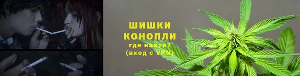 mdpv Медвежьегорск