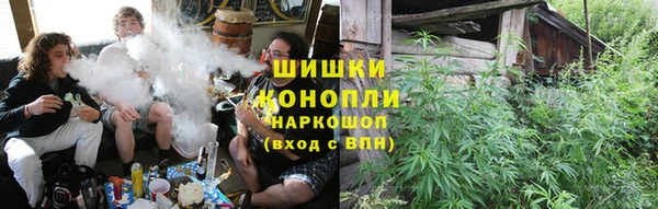 mdpv Медвежьегорск