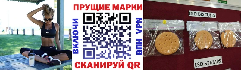 Марки 25I-NBOMe 1,5мг закладки Советская Гавань
