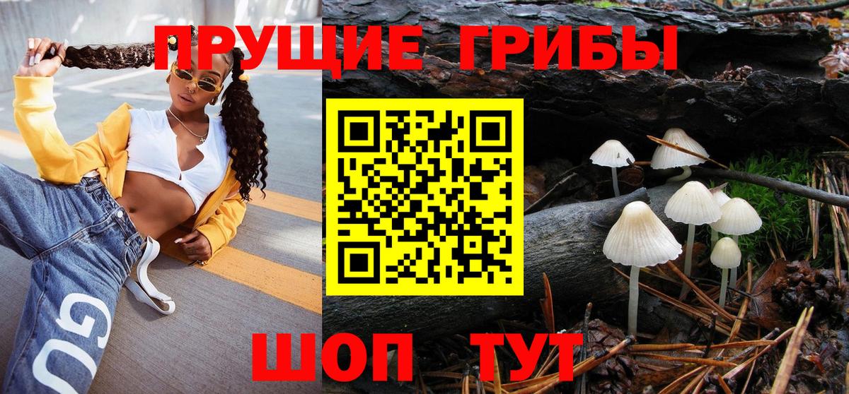 Советская Гавань  Псилоцибиновые грибы MAGIC MUSHROOMS  Вход с VPN 